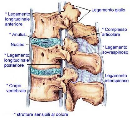 legamenti_corpo-750x422_center_center